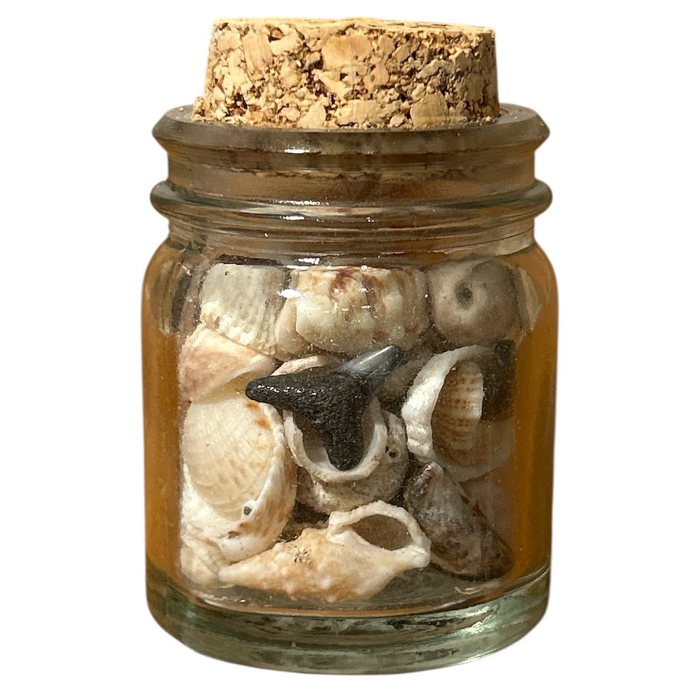 Mini Glass Jar with Seashells and Cork Lid